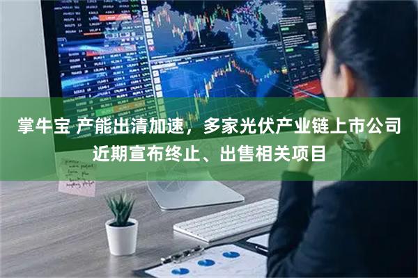 掌牛宝 产能出清加速，多家光伏产业链上市公司近期宣布终止、出售相关项目