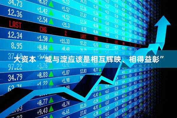 大资本 “城与淀应该是相互辉映、相得益彰”