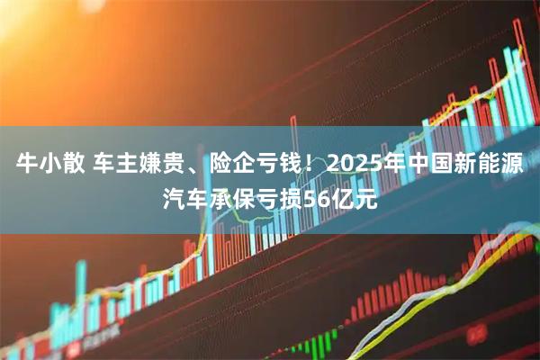 牛小散 车主嫌贵、险企亏钱！2025年中国新能源汽车承保亏损56亿元