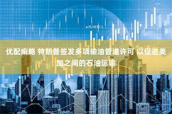 优配痢略 特朗普签发多项输油管道许可 以促进美加之间的石油运输