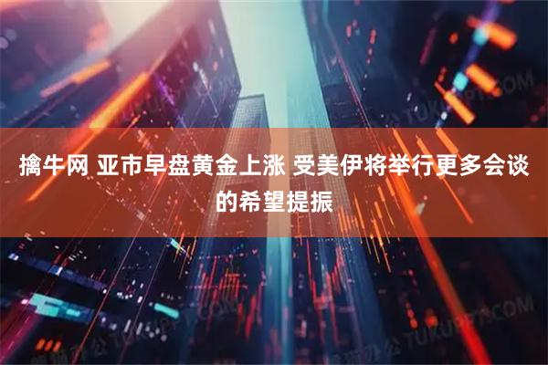 擒牛网 亚市早盘黄金上涨 受美伊将举行更多会谈的希望提振