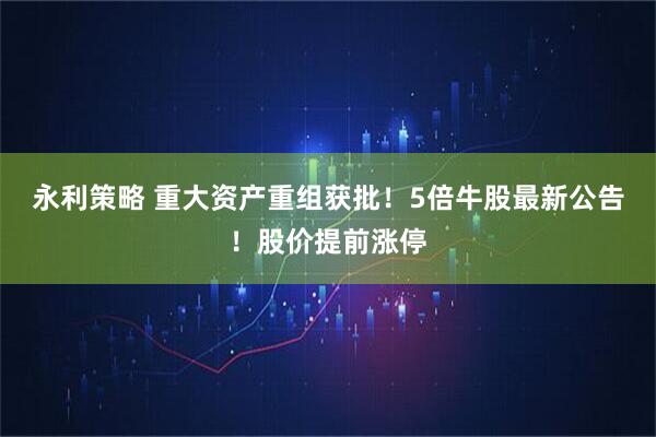永利策略 重大资产重组获批！5倍牛股最新公告！股价提前涨停