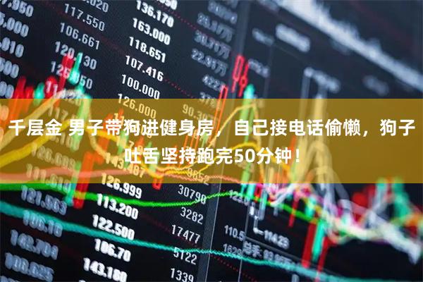 千层金 男子带狗进健身房，自己接电话偷懒，狗子吐舌坚持跑完50分钟！