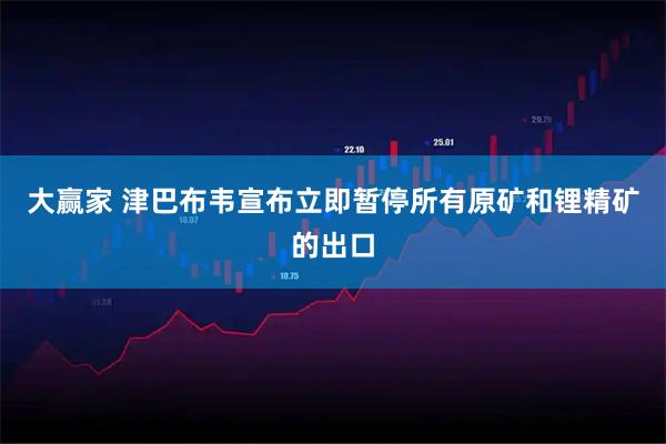 大赢家 津巴布韦宣布立即暂停所有原矿和锂精矿的出口