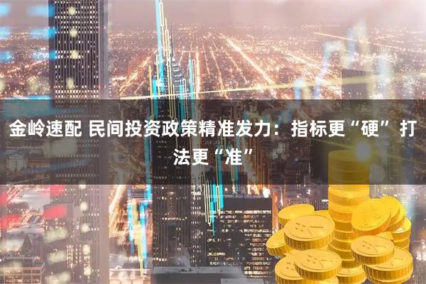 金岭速配 民间投资政策精准发力：指标更“硬” 打法更“准”