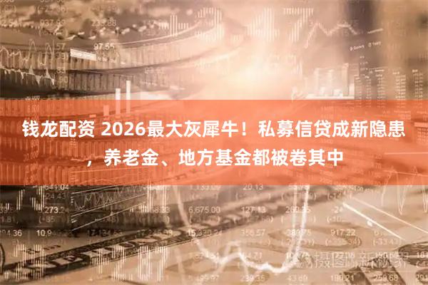 钱龙配资 2026最大灰犀牛！私募信贷成新隐患，养老金、地方基金都被卷其中