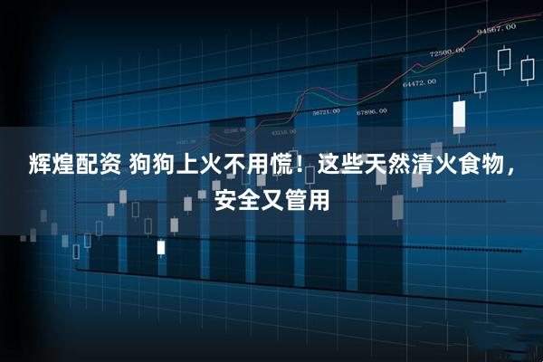 辉煌配资 狗狗上火不用慌！这些天然清火食物，安全又管用