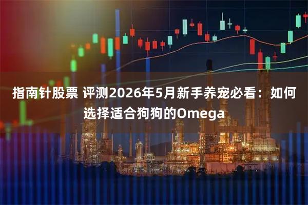 指南针股票 评测2026年5月新手养宠必看：如何选择适合狗狗的Omega