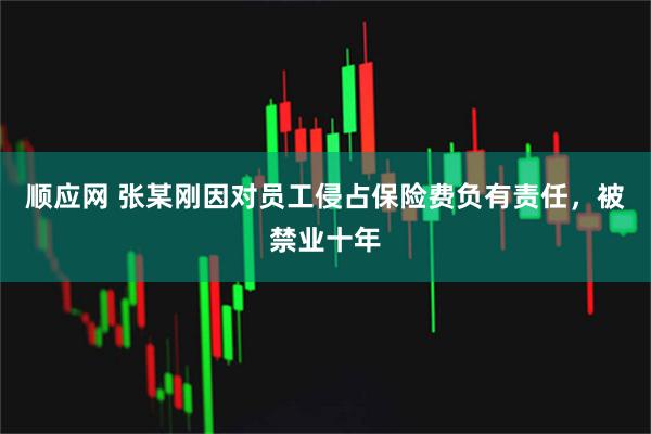 顺应网 张某刚因对员工侵占保险费负有责任，被禁业十年
