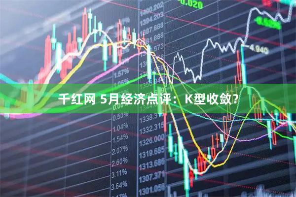 千红网 5月经济点评：K型收敛？