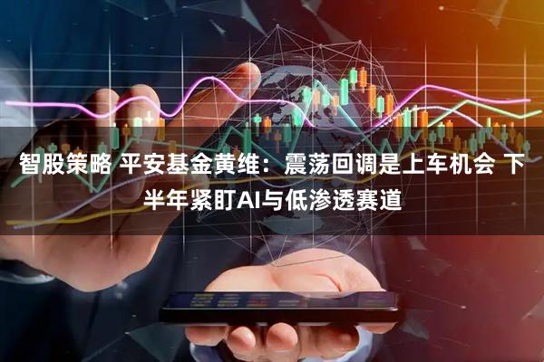 智股策略 平安基金黄维:震荡回调是上车机会 下半年紧盯AI与低渗透赛道