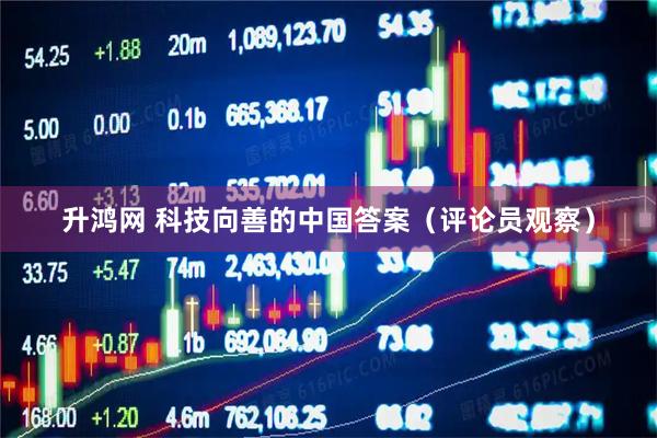升鸿网 科技向善的中国答案（评论员观察）