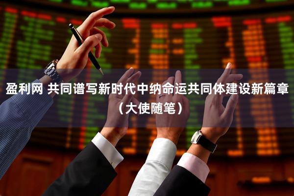 盈利网 共同谱写新时代中纳命运共同体建设新篇章（大使随笔）